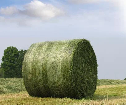 HDPE Hay Pallet Extruded Bale Wrap Net for Farm Packing Grass