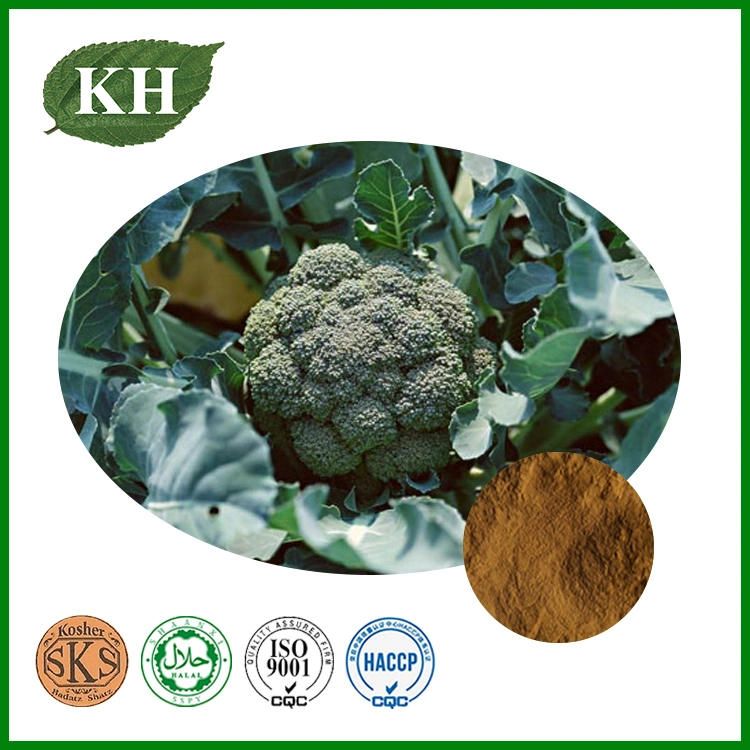 Natural Sulforaphane Broccoli Extract Brassica Oleracea Botrytis Cymosa