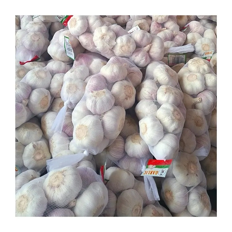 Garlic Packed with 3.2-3.8kg in Bag Garlic Price for UAE Qatar