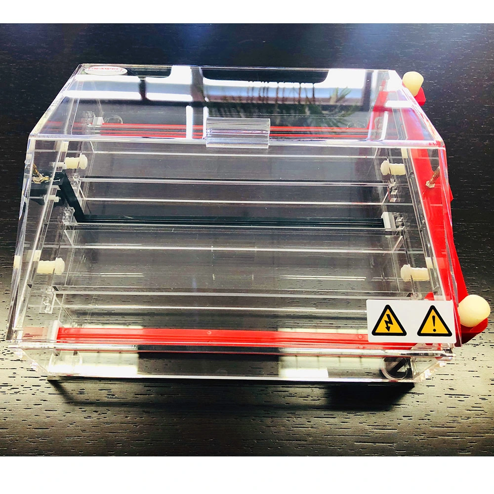 Laboratory Horizontal Vertical Electrophoresis Tanks