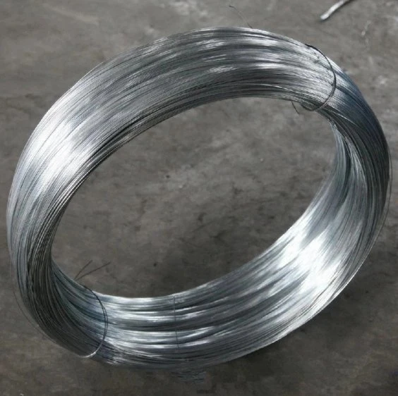 Support Inspection/0.25 0.5 0.7 3.0/Q195 Low Carbon Steel Wire/Galvanized Spring Wire