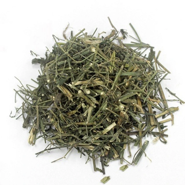 Chuan Xin Lian Supplier Wholesale/Supplier Hot Sale High quality/High cost performance Natural Herb Medicine Andrographis paniculata for Health