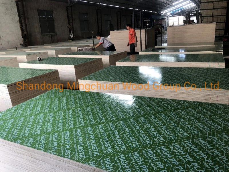 18mm Green Plastic Film Faced Plywood PVC Board Hardwood PP Plywood