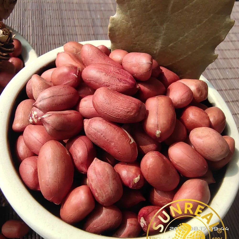 Raw Peanut Kernels/Red Skin/Superior Quality/All Size/Pukee Foods/Sunreal