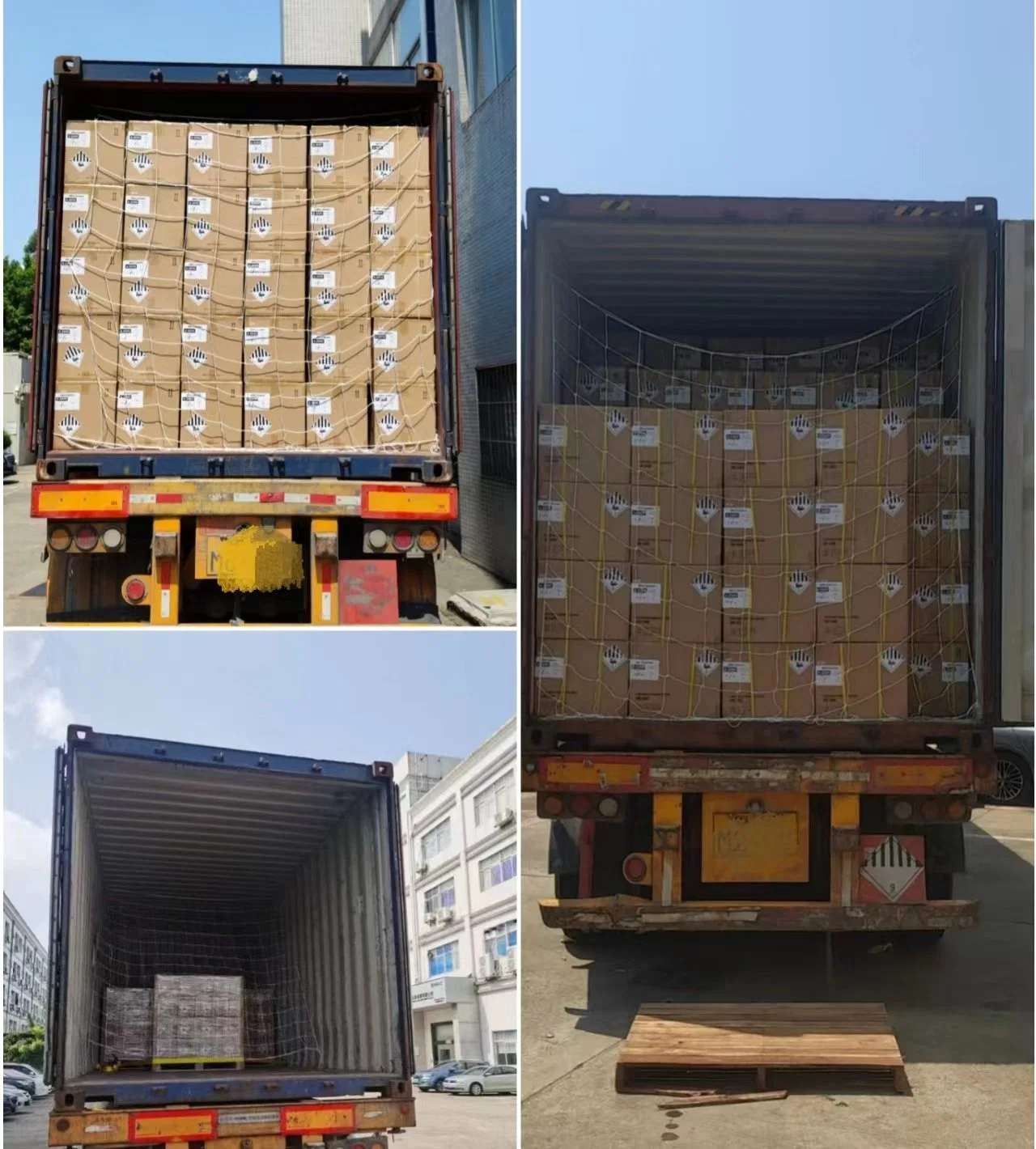 Freight Forwarder/Class IX Dangerous Goods/Shenzhen to Rotterdam Port/Sea Transportation