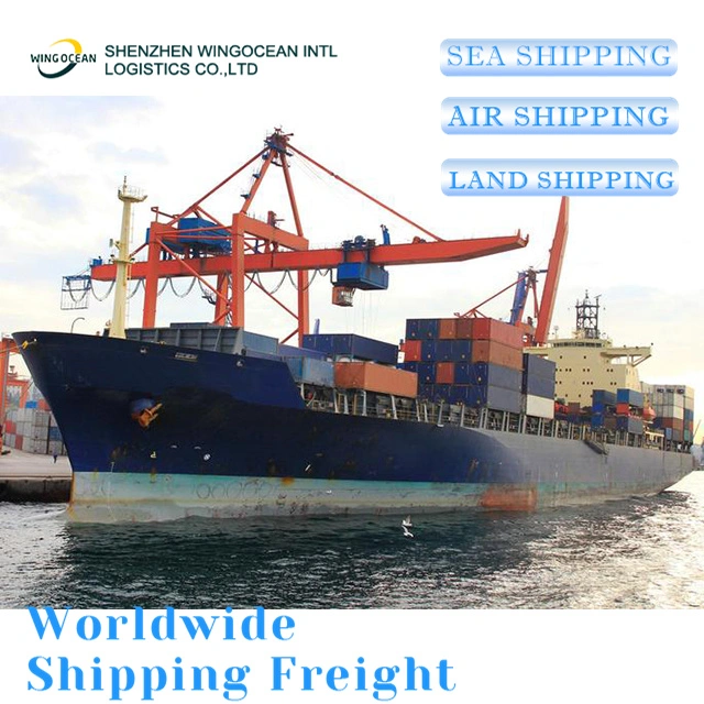 Reliable Excellent China DDP Sea Shipping Door to Door Delivery Logistics Freight Forwarder Shipping From China to UK/ Germany/ France