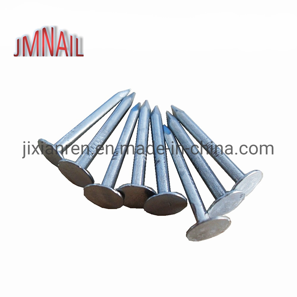 1"Xbwg11 Hot Bunded Galvanized Roofing Nails