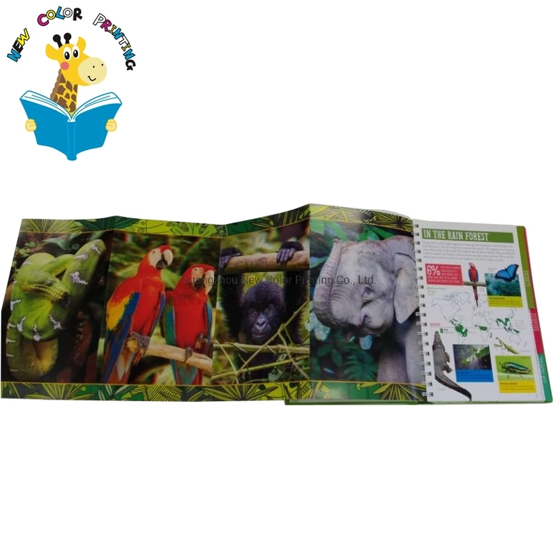 Customized Magazine Catalogue Hardcover Story Educational Book Printing