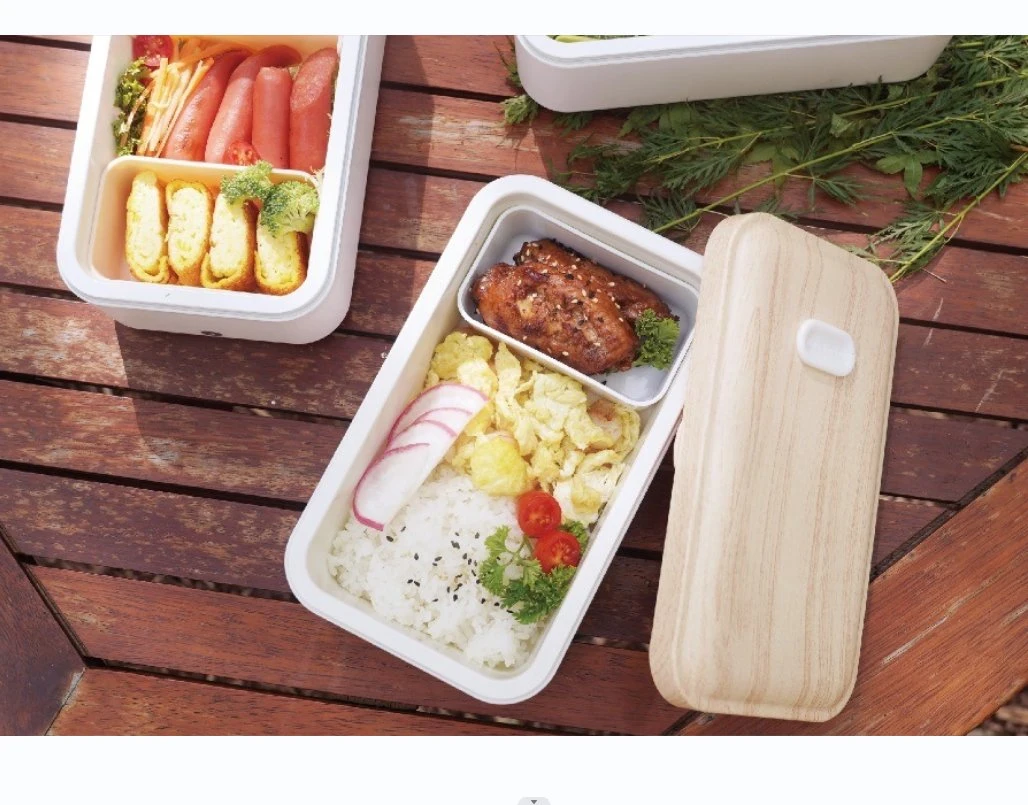 890ml 48W Electric Lunch Box