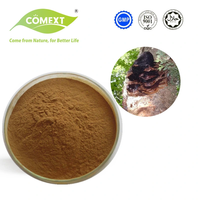 Comext Water Soluble Chaga Mushroom Extract 10: 1 Chaga Extract Powder
