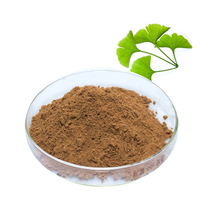 Factory Supply Ginkgo Biloba Leaf Extract Powder Flavone Glycosides 24%/ Total Terpene Lactones 6%