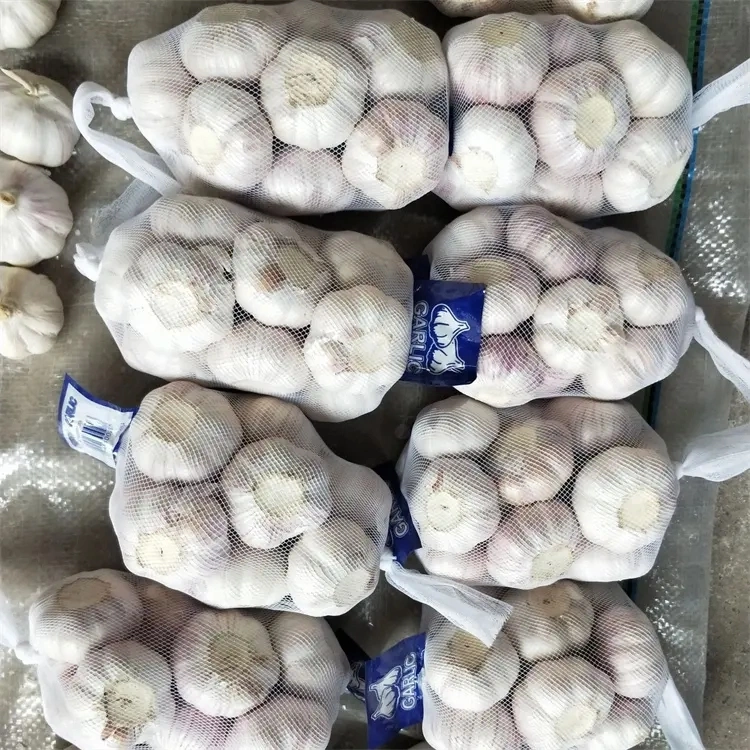 Wholesale/Supplier Chinese Garlic 5.0cm Packing Fresh Normal Garlic