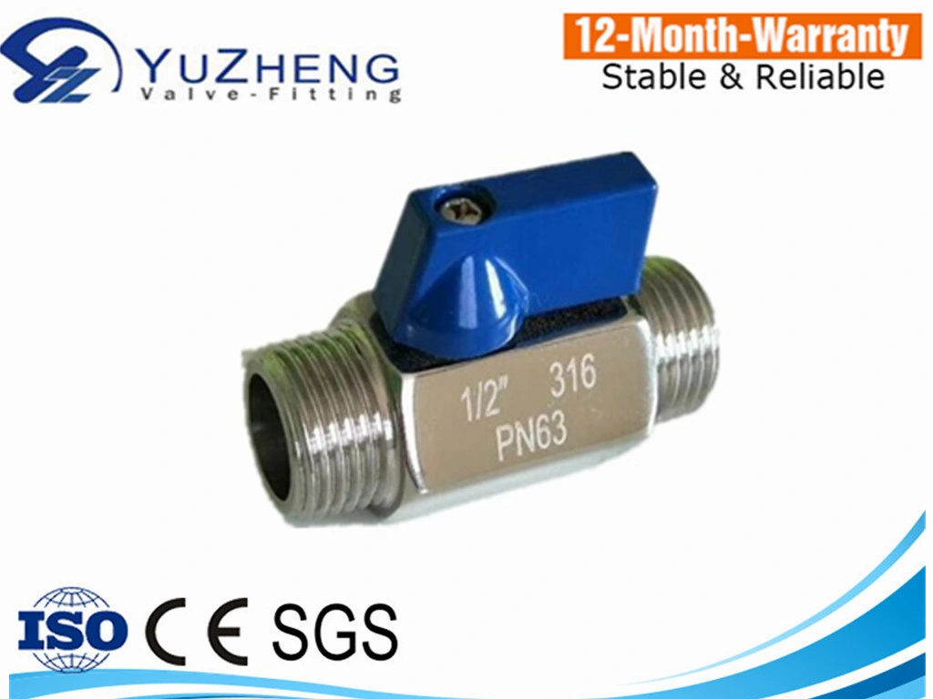 Dn15 1000wog Stainless Steel mm Mini Ball Valve with HS Code