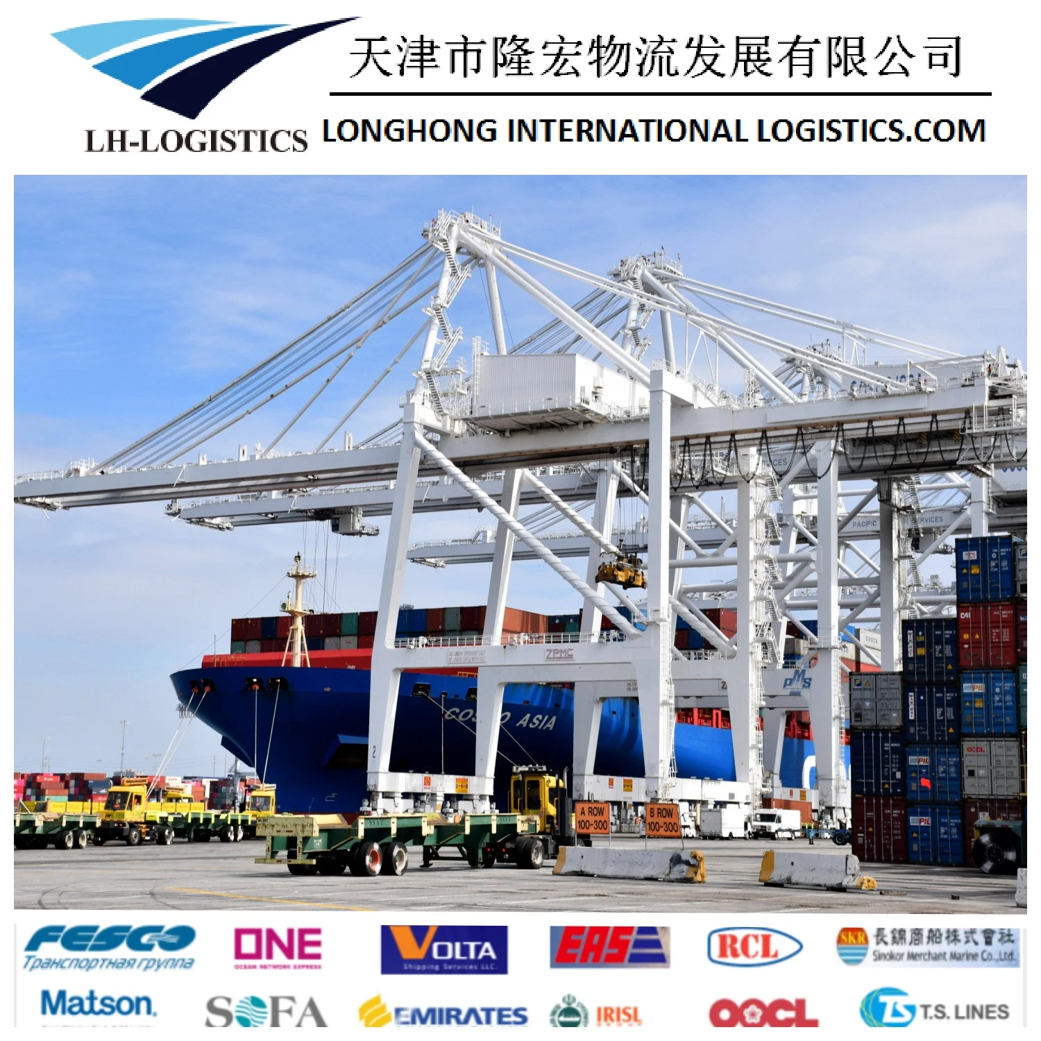 International Sea Freight Shipping Company Professionelle chinesische lokale Versand Spediteur nach Australien.