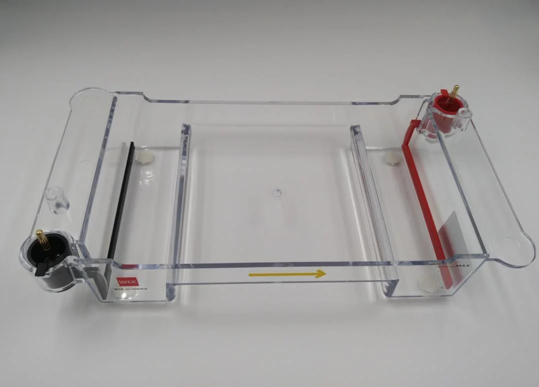 Wix-Mididna Multipurpose DNA Electrophoresis Cell Laboratory Equipment