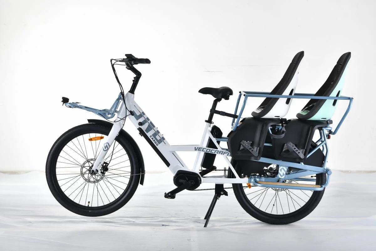 سيارة MID Drive Ebike دراجة الشحن الكهربائية تحمل اثنين من الأطفال ببطاريتين