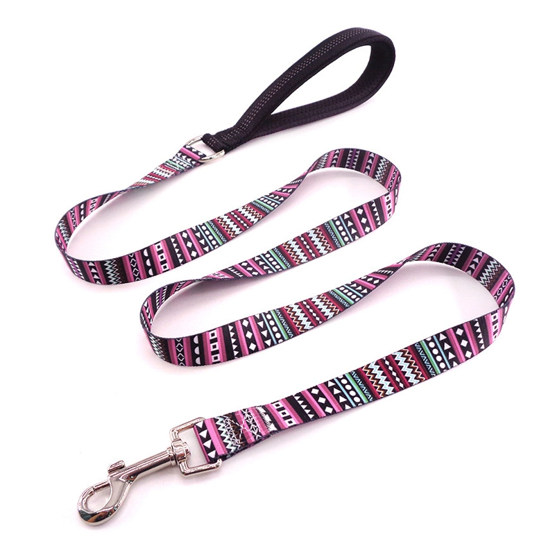 Waterproof Polyester Printed Pattern Pet Flat Rope Jogging Dog Cat Leashes Leads