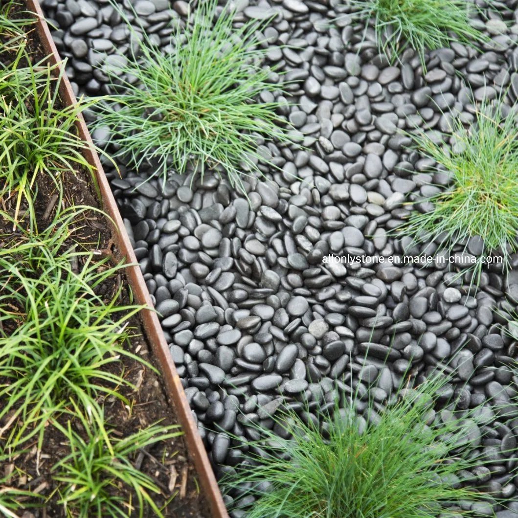 Polido / Wahsed superfície ajardinando Pebbles preto desisgn para Garden Bed and Warkway