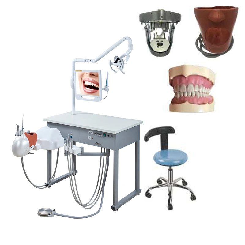 Dental 1 Student Training Single Teaching Manual Control Phantom Simulator