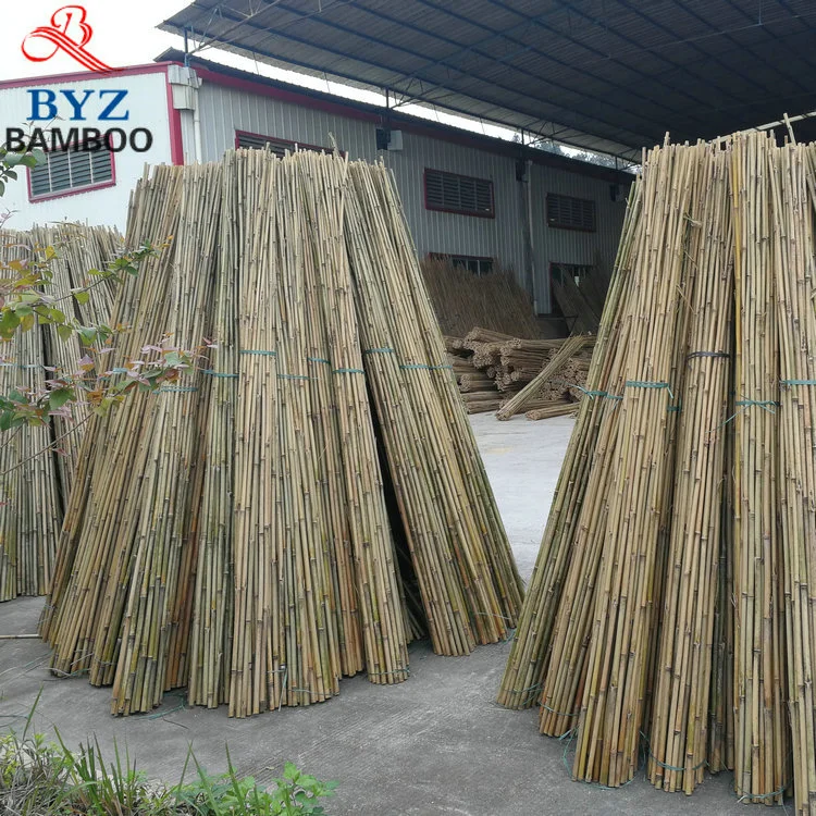 Tonkin polo de bambú para la Agricultura y jardinería decoración/ bastones