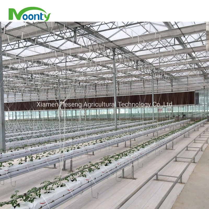 Modern Agricultural Velo Multi-Span Glass House High quality/High cost performance Solar Glass Greenhouse with Automatic Control System