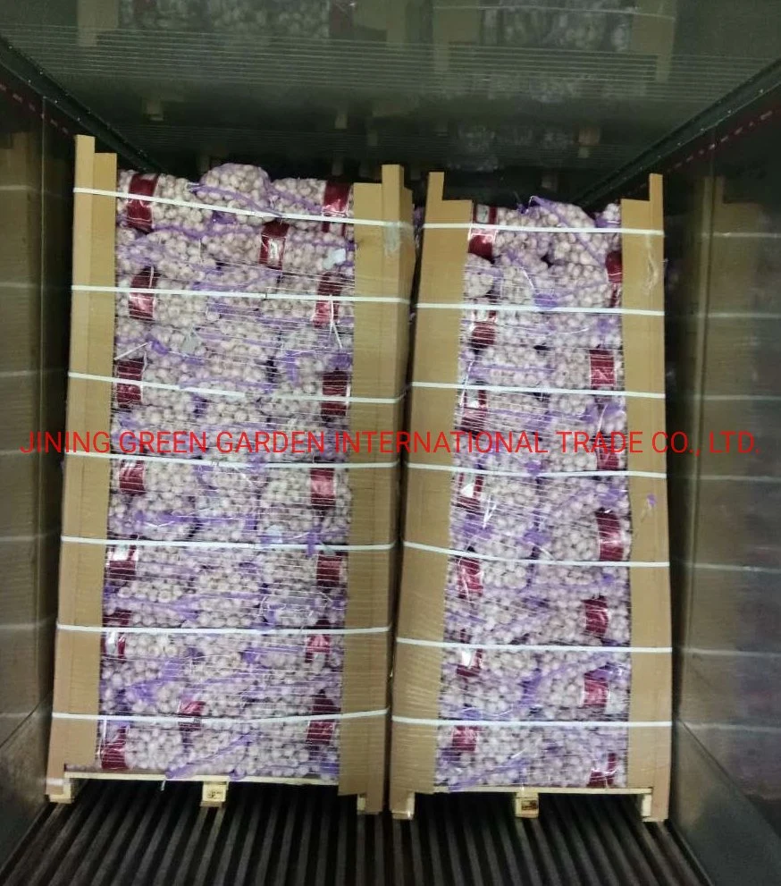 No.1 Top Quality Good Quality High quality/High cost performance  Cheap Price China Fresh White Garlic Normal White Snow White Pure White Vary Packing,4.5,5.0,5.5,6.0,6.5 and up Size,