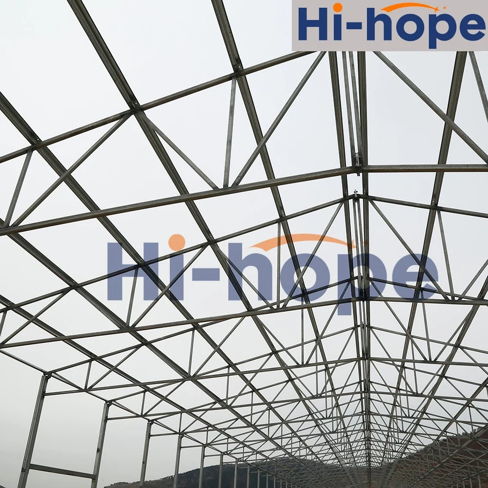 Cheap Chicken Shed Prefabricated Steel Structure in China