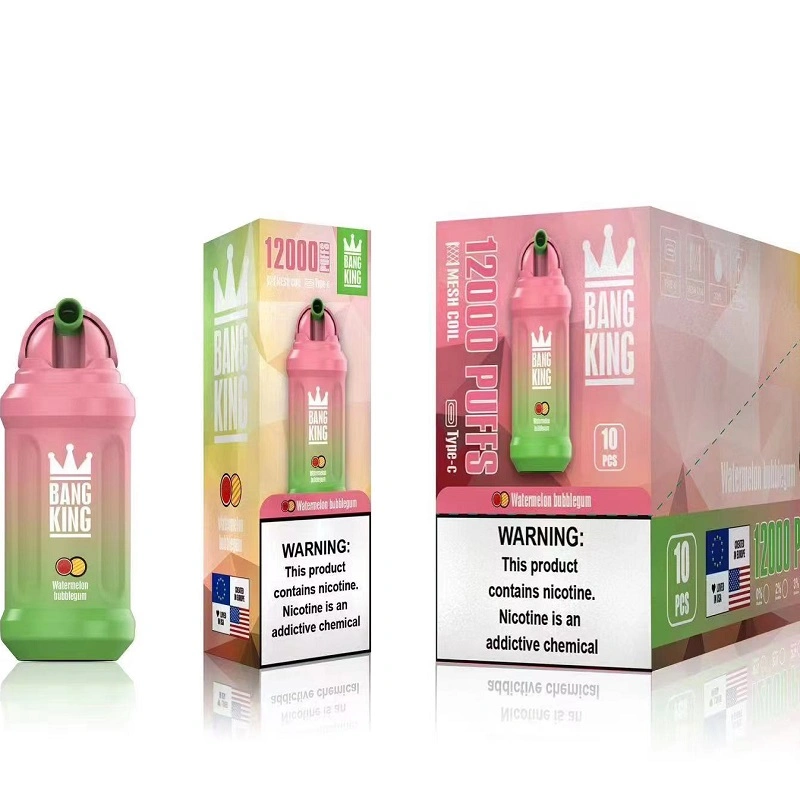 Desechable Bang King 12000 Puffs VAPE 650mAh batería 20 sabores 23ml vaporizador líquido