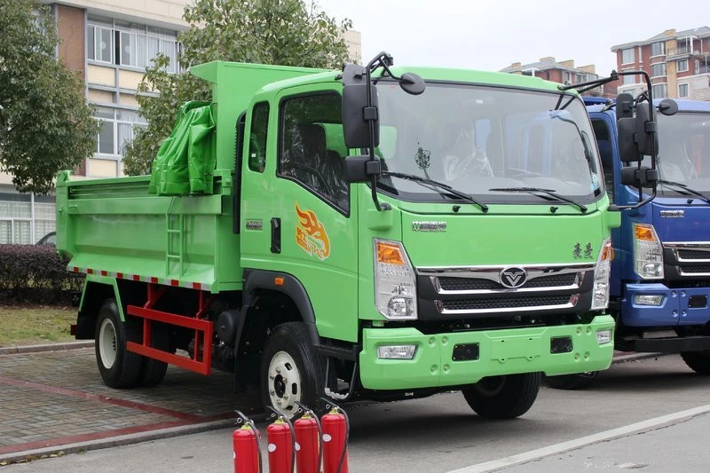 Homan Mini Camion-benne à 4X4 off road Dumper chariot