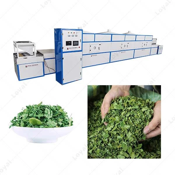 Industrial Tunnel Chamber Moringa Leaves Microwave Dryer Teas Herbs Microwave Sterilization Equipment Rose Flower Microwave Drying Oven