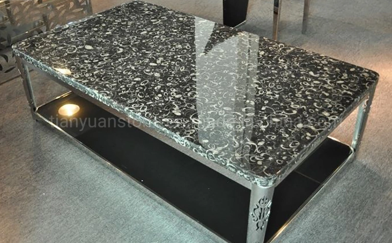 Black Fossil Black Granit für Top Center Table