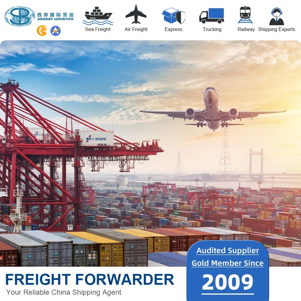 Sea Freight Forwarder Service to Manzanillo or Mexico Fba Amazon Logistics Service