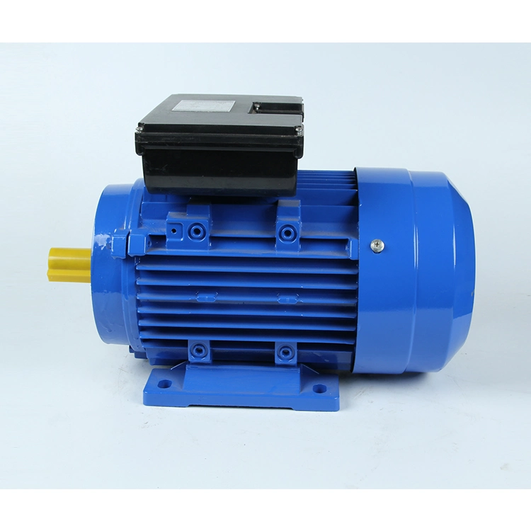 Yl Series 220V Low Noise 2800rpm Single-Phase Dual-Capacitor Induction Electric Motor for Air Compressors