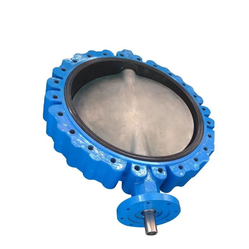 Hot Sale SS304 Manual Centerline Ductile Iron Pressure Reducing DN 500 Lug Type Butterfly Valve with Electric Actuator