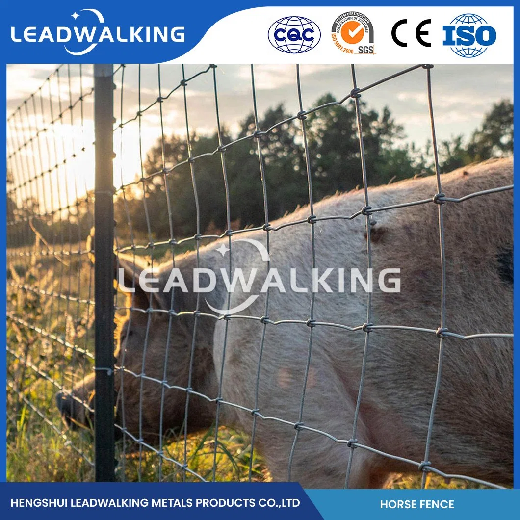 Leadwalking 60X330 Field Fence Sample Available Decorative Cattle Panel Fencing Factory China Novel Structure Horse White PVC Fence Mesh