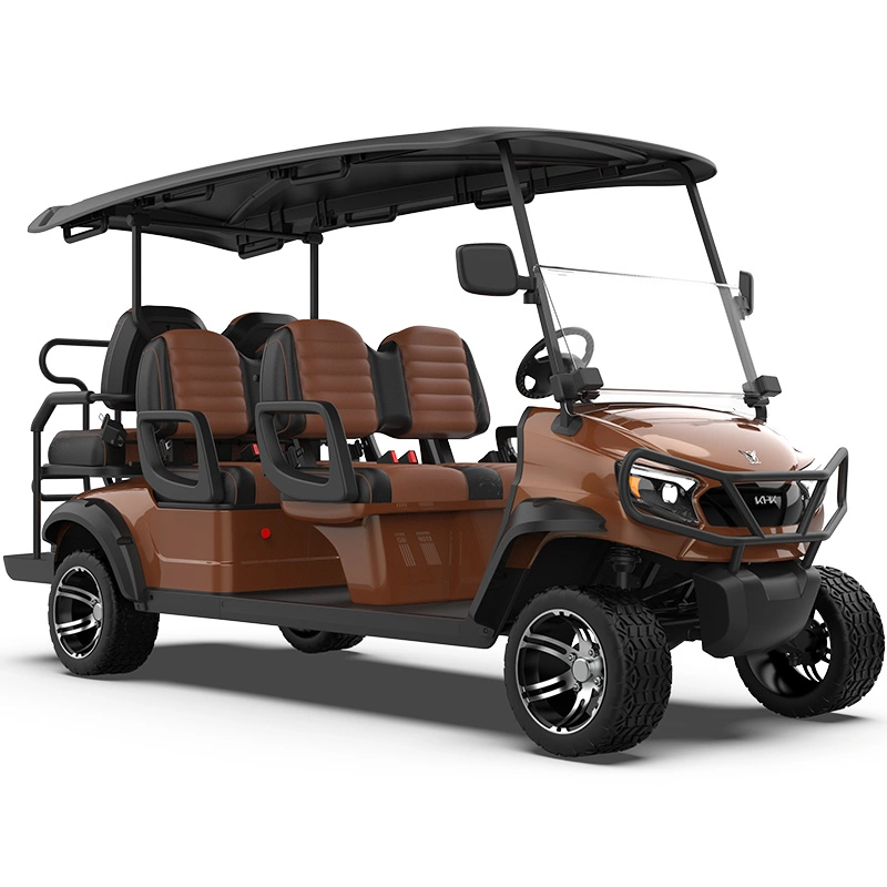 Los asientos baratos 2 4 BUGGY ELÉCTRICO turismo alquiler de carros de golf