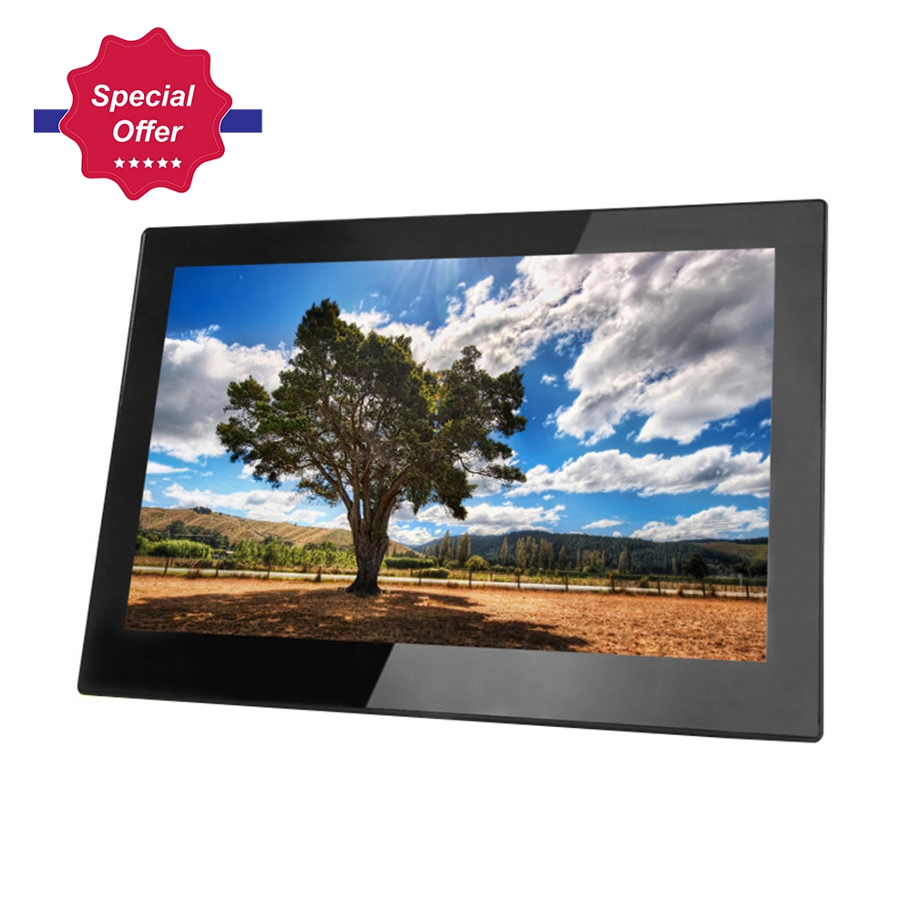 10 Inch Full HD Panel IPS Screen Digital Photo Frame with HDMI and Vesa Pots