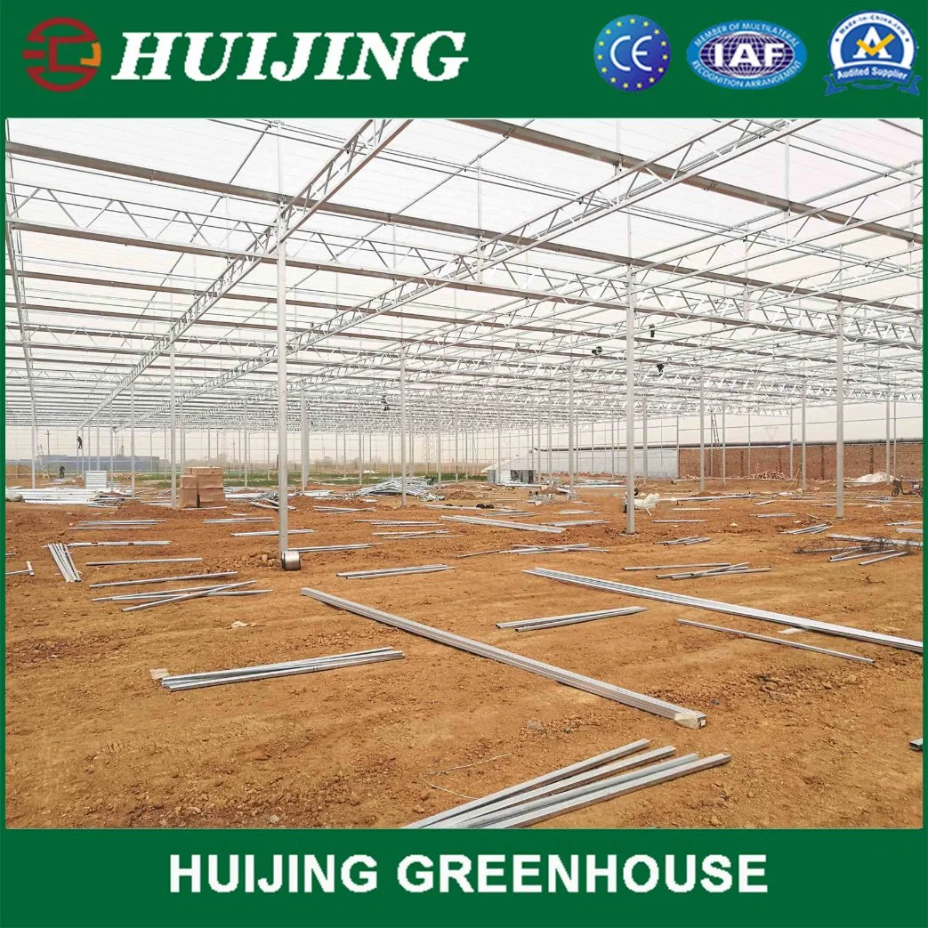 Hot DIP Plastic Film/PC/Glass Greenhouse Steel Frame Structure for Sale