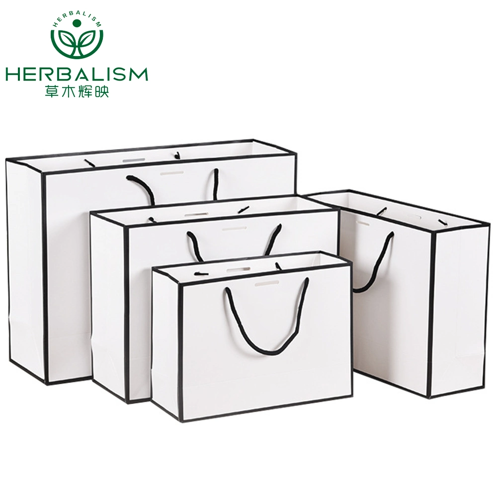 Custom Luxury Kraft Shopping Gift Paper Bag with Handle