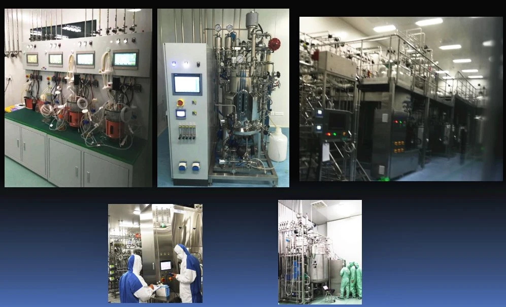 Bioreactor Equipment to Produce Live Chicken Infectious Bronchitis Vaccine (H120 strain) Technology