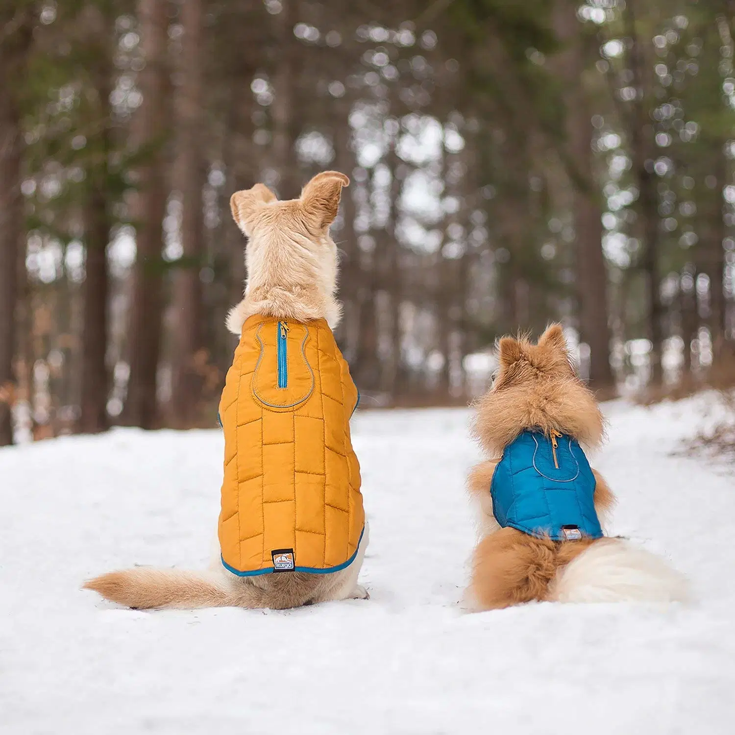 Dog Extra Warmth Jacket Warm & Soft & Windproof & Durable & Light Apparel Freedom of Movement Wear with Harness