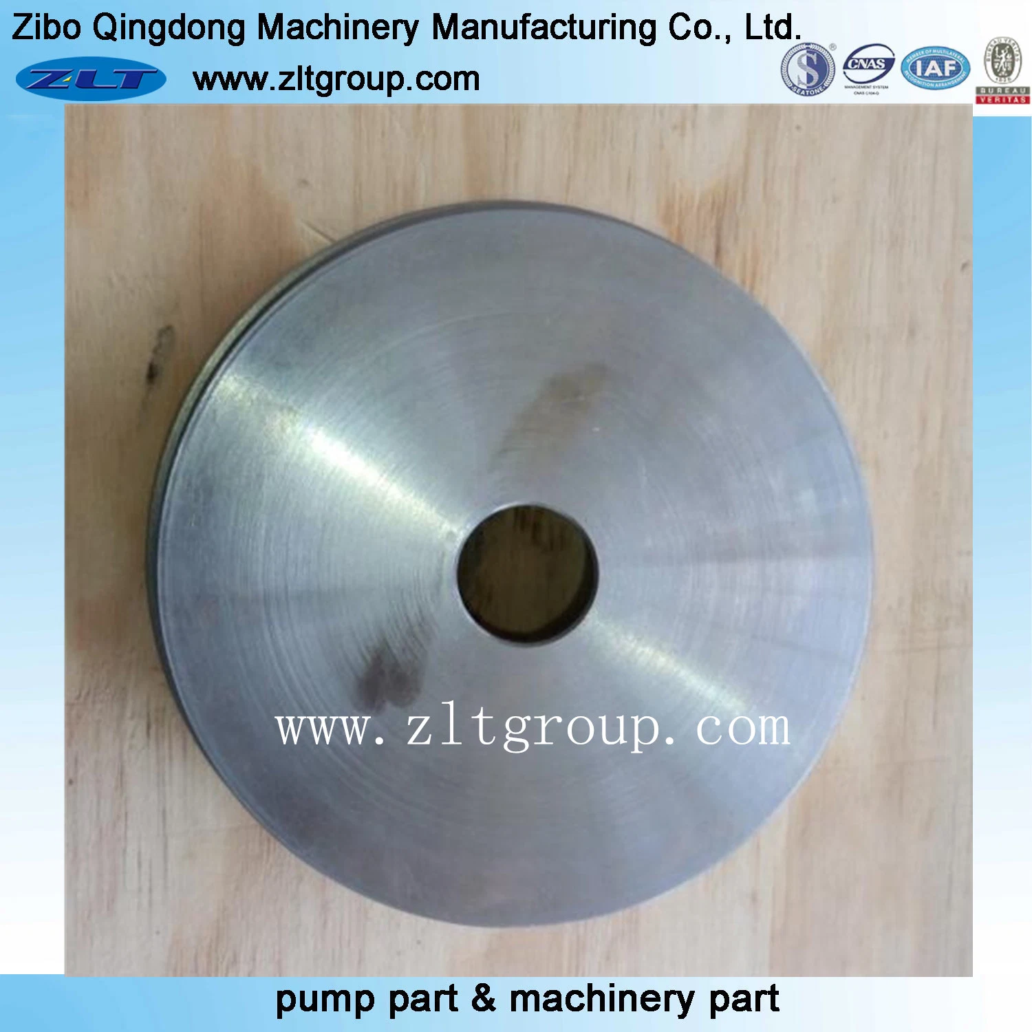 Titanium Replace Goulds 3196 Pump Cover in China by Lost Wax Casting