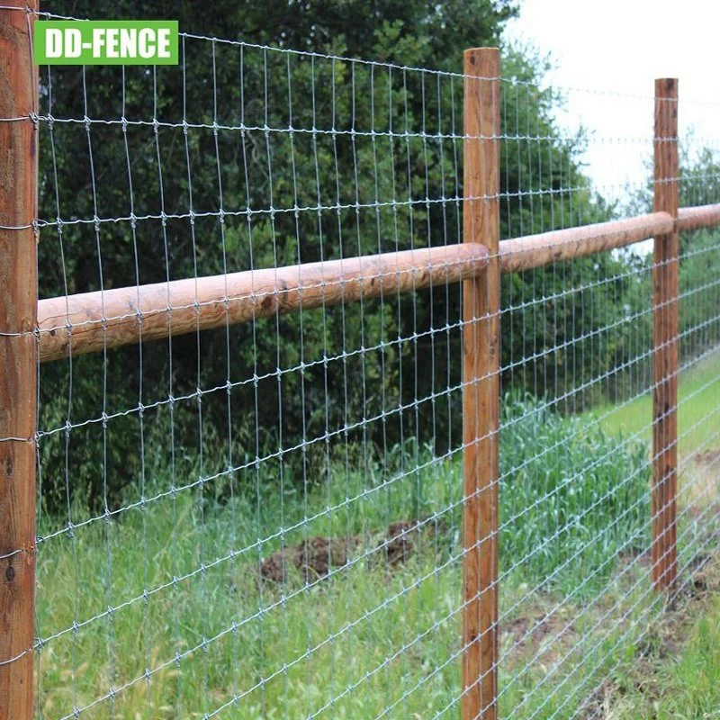 Wholesale/Supplier Galvanized Grassland Wire Mesh Panel Fencing Cattle / Sheep / Field / Deer Farm Fence