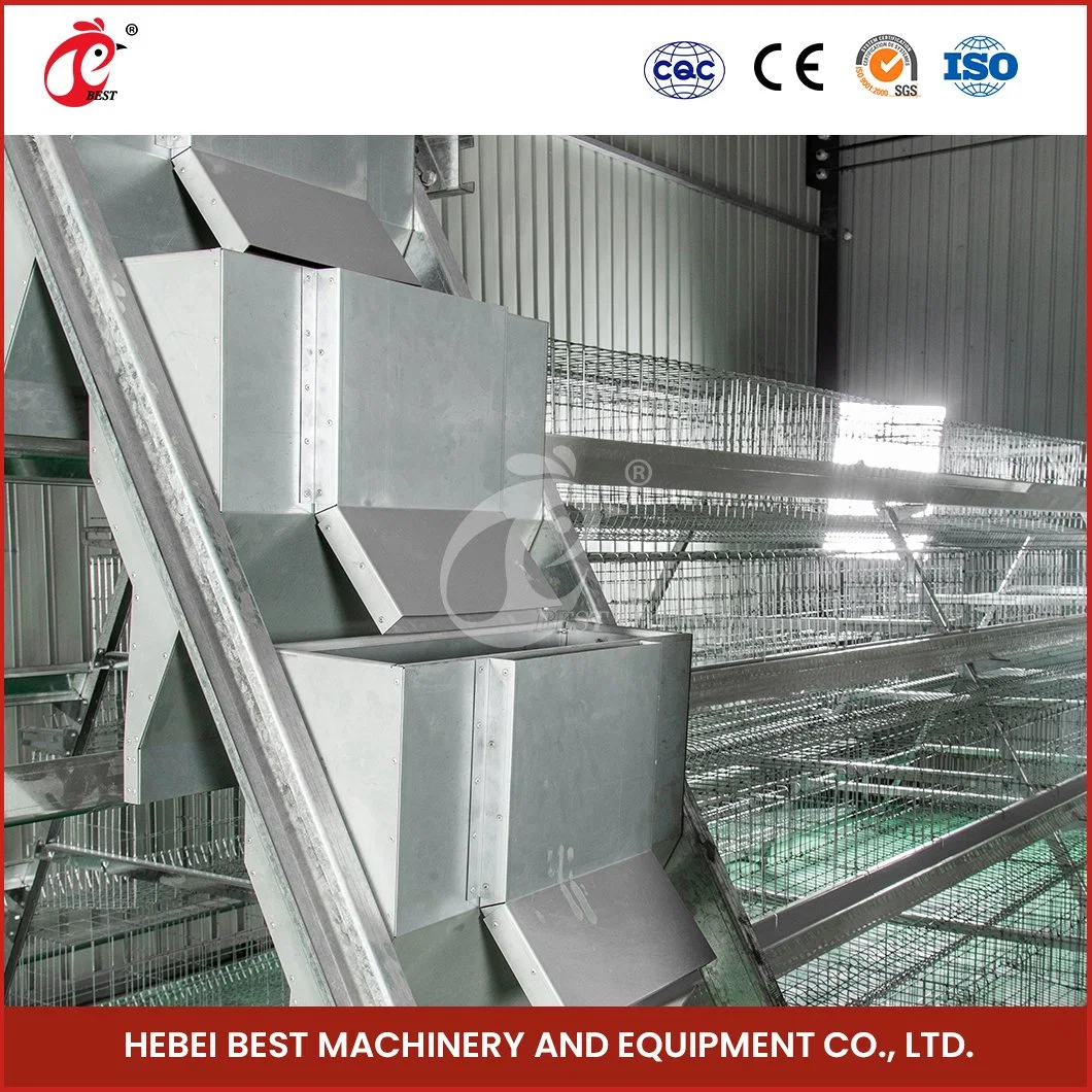 Bestchickencage Ordinary Type Layer Cage China Cubby Layer House Chicken Layer Coop Factory Sample Available Anti-Bacterial Growth H Frame Chicken Layer Cage