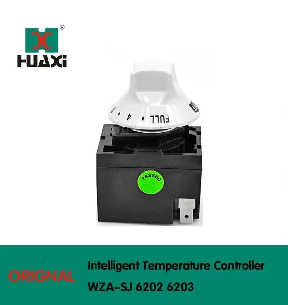 Le contrôleur de température réglable Intelligent thermostat à immersion