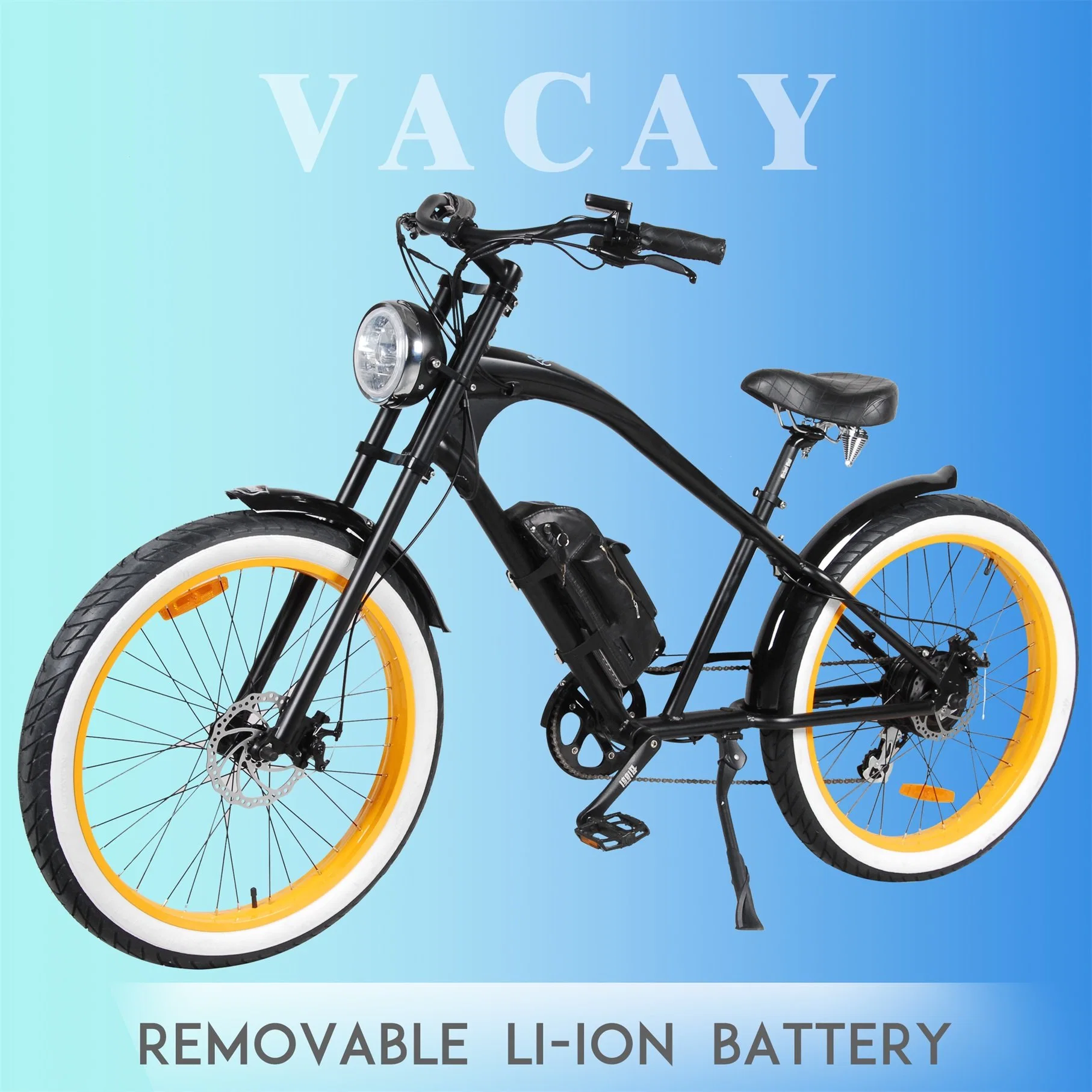 Europe Top Selling Electric Bike with CE / En15194 36V Li Ion Battery Removable Lithium Battery