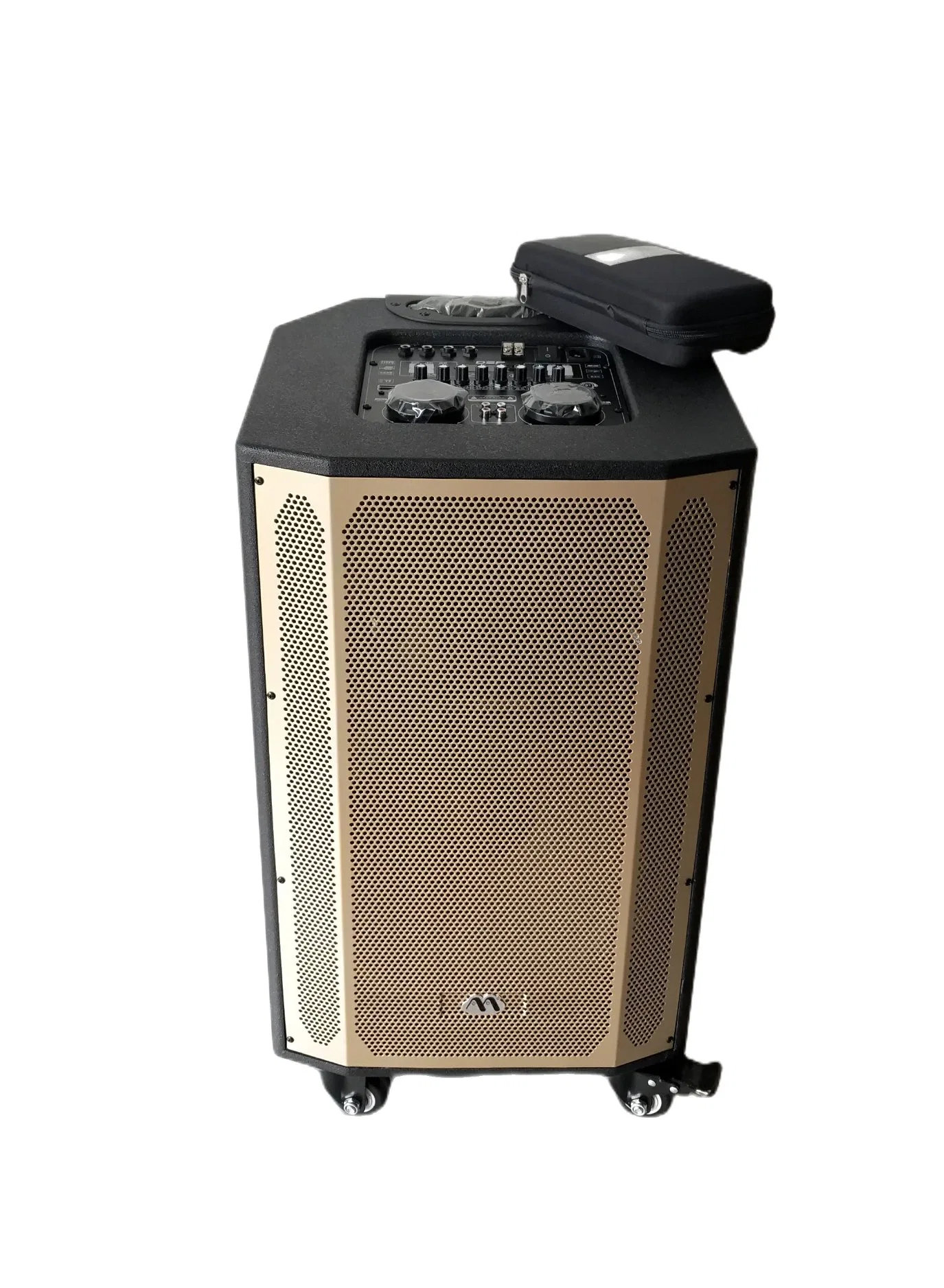 Full Steel Grille 15 Inch Portable Trolley Wooden Speaker with Two Wireless Mic