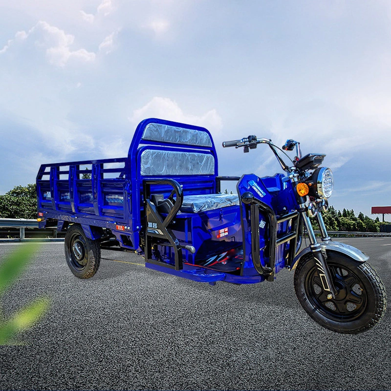 1000W Tricycle de Cargo à Distance Longue Électrique Rickshaw (CT-001)