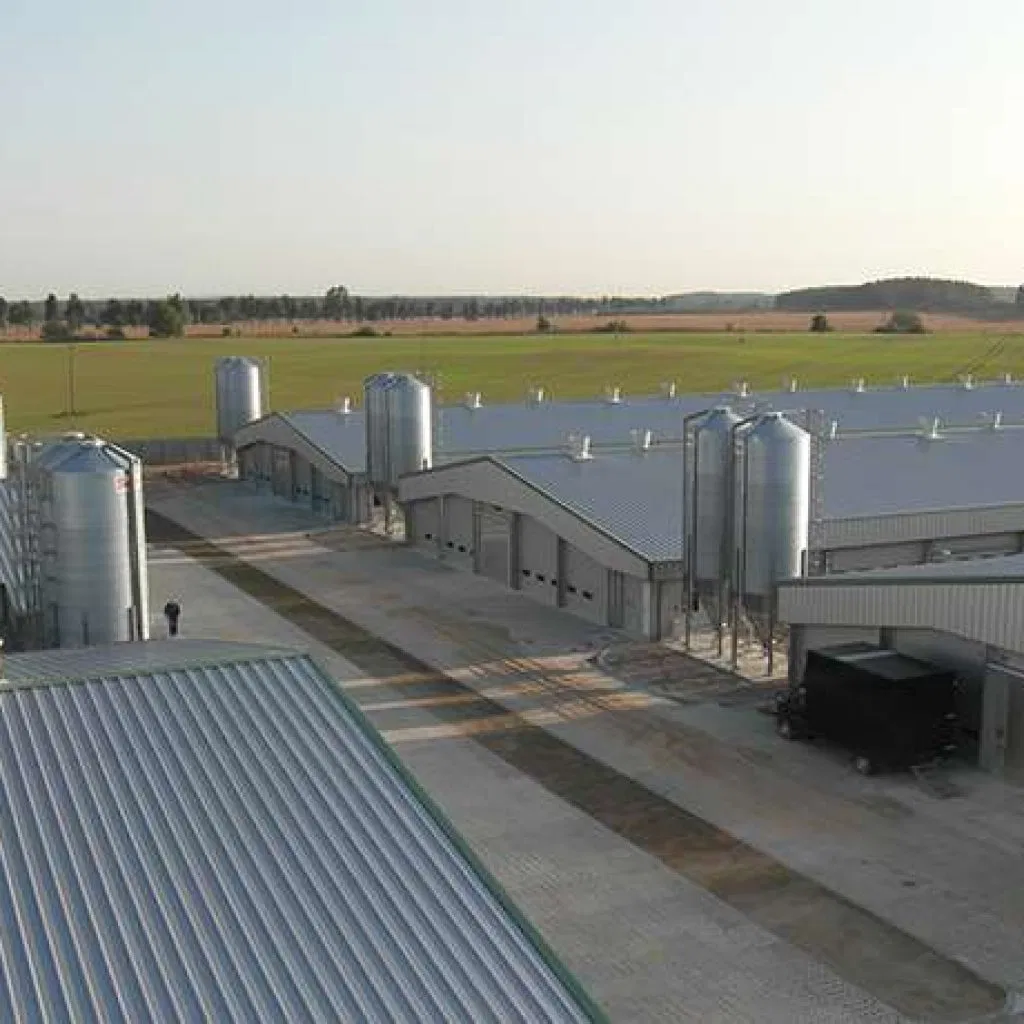 Poultry Steel Structure Farm for Chicken