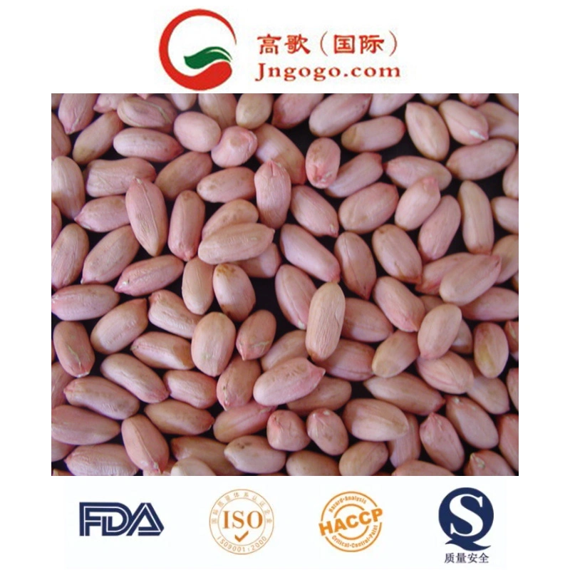 High quality/High cost performance  Red Skin Peanut Kernel